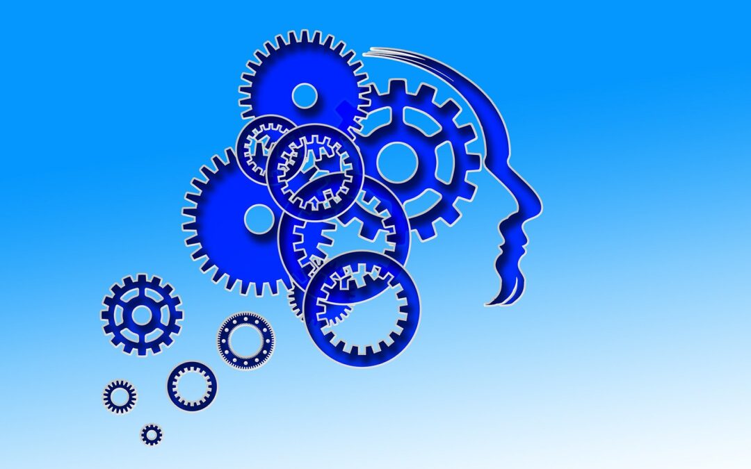 De 5 gekste beproefde examentips!